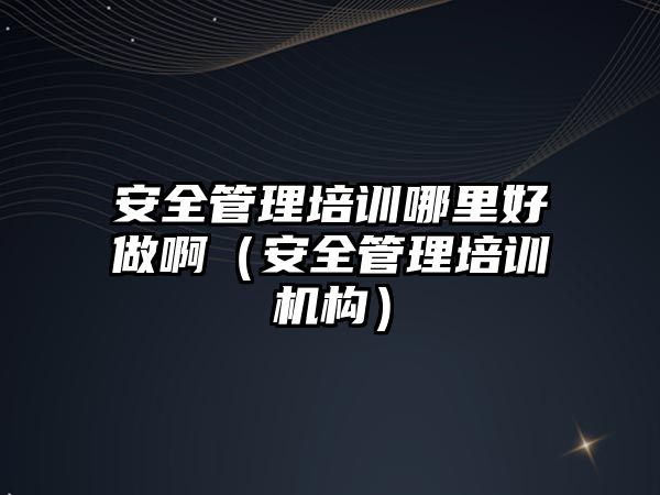 安全管理培訓哪里好做啊（安全管理培訓機構）