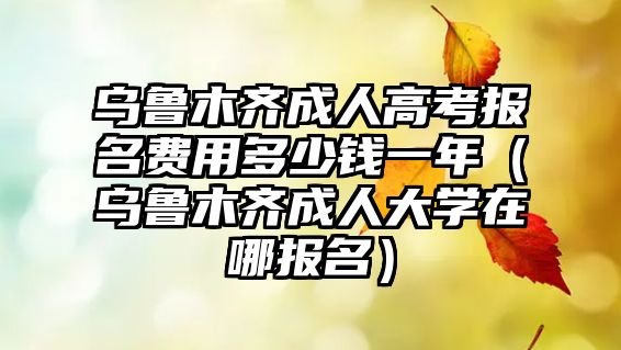 烏魯木齊成人高考報(bào)名費(fèi)用多少錢(qián)一年（烏魯木齊成人大學(xué)在哪報(bào)名）