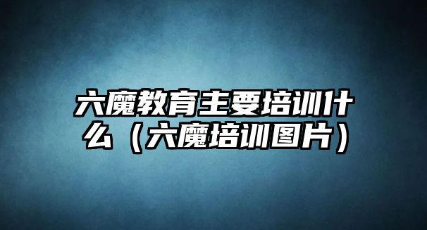 六魔教育主要培訓什么（六魔培訓圖片）