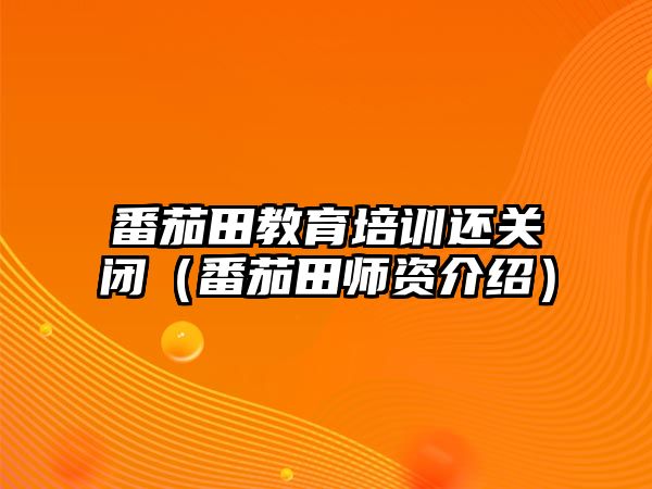 番茄田教育培訓還關閉（番茄田師資介紹）