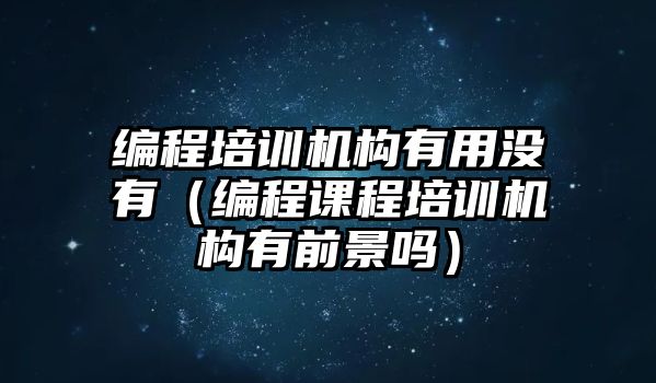 編程培訓機構(gòu)有用沒有（編程課程培訓機構(gòu)有前景嗎）