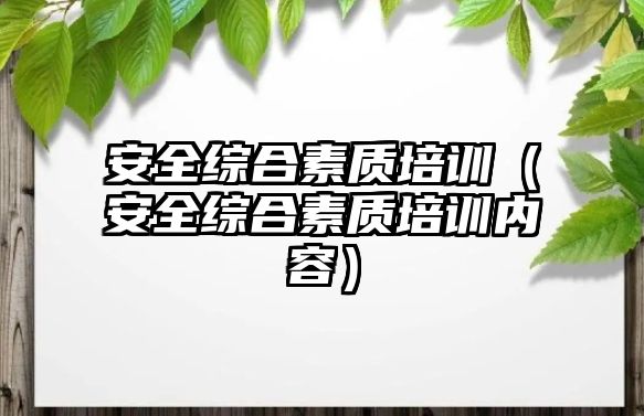 安全綜合素質培訓（安全綜合素質培訓內容）