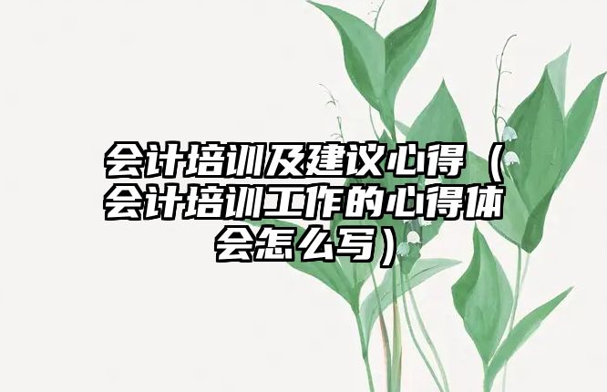 會(huì)計(jì)培訓(xùn)及建議心得（會(huì)計(jì)培訓(xùn)工作的心得體會(huì)怎么寫）