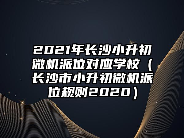 2021年長沙小升初微機派位對應學校（長沙市小升初微機派位規則2020）