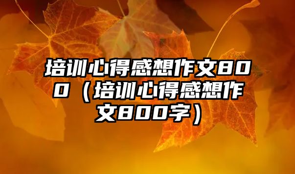 培訓心得感想作文800（培訓心得感想作文800字）