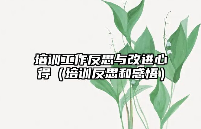 培訓工作反思與改進心得（培訓反思和感悟）