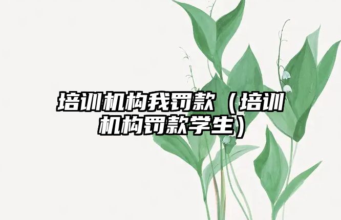 培訓機構我罰款（培訓機構罰款學生）