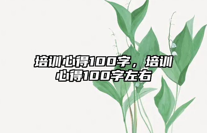 培訓(xùn)心得100字，培訓(xùn)心得100字左右