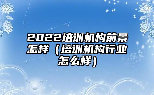 2022培訓(xùn)機(jī)構(gòu)前景怎樣（培訓(xùn)機(jī)構(gòu)行業(yè)怎么樣）