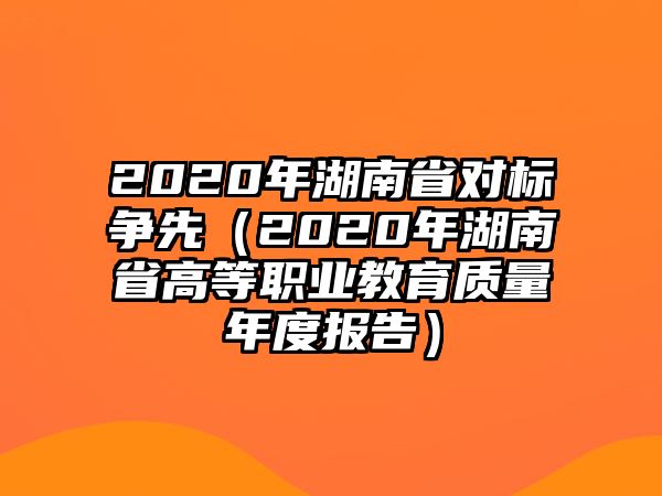 2020年湖南省對標爭先（2020年湖南省高等職業教育質量年度報告）