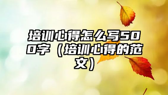 培訓心得怎么寫500字（培訓心得的范文）