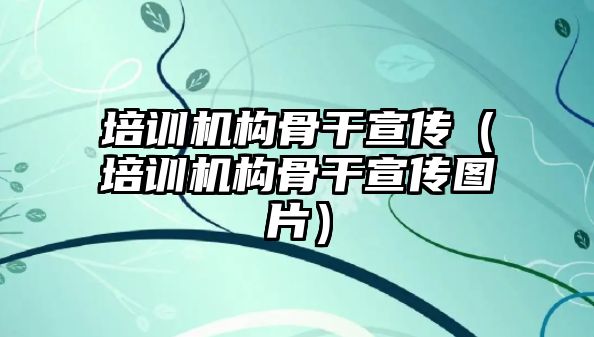 培訓(xùn)機(jī)構(gòu)骨干宣傳（培訓(xùn)機(jī)構(gòu)骨干宣傳圖片）