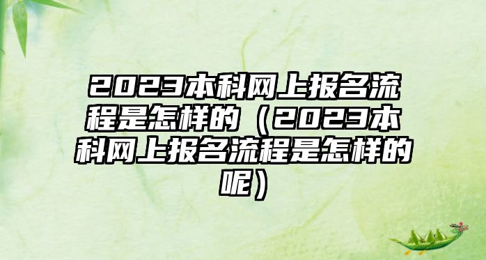 2023本科網上報名流程是怎樣的（2023本科網上報名流程是怎樣的呢）