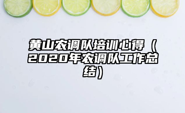 黃山農(nóng)調(diào)隊培訓(xùn)心得（2020年農(nóng)調(diào)隊工作總結(jié)）