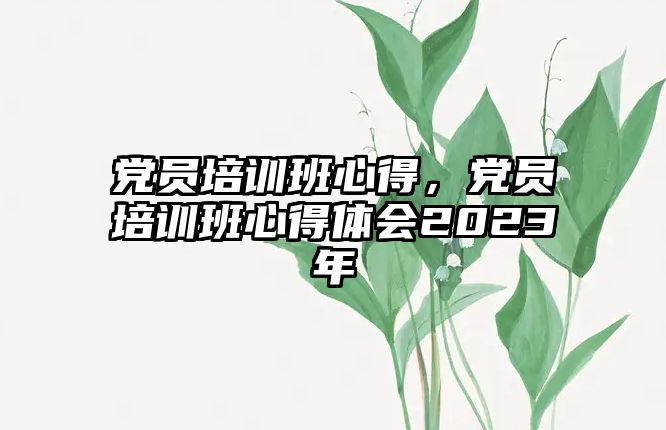 黨員培訓(xùn)班心得，黨員培訓(xùn)班心得體會(huì)2023年