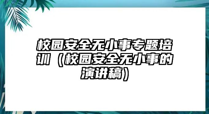 校園安全無小事專題培訓(xùn)（校園安全無小事的演講稿）