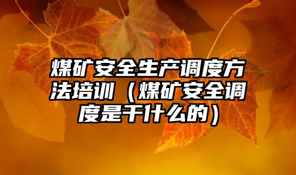 煤礦安全生產調度方法培訓（煤礦安全調度是干什么的）