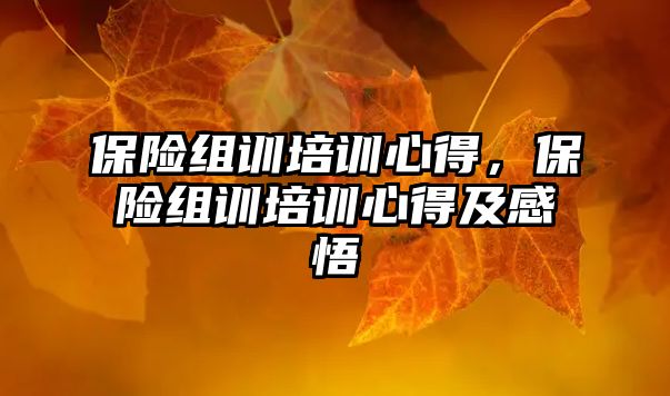 保險組訓培訓心得，保險組訓培訓心得及感悟