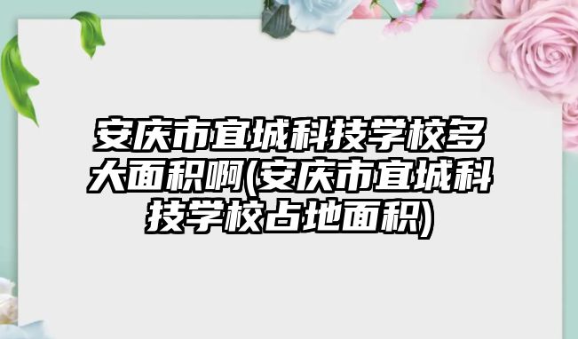 安慶市宜城科技學校多大面積啊(安慶市宜城科技學校占地面積)