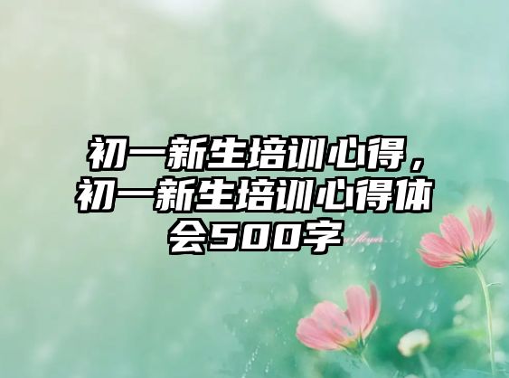 初一新生培訓心得，初一新生培訓心得體會500字