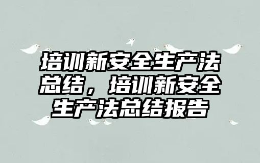 培訓新安全生產法總結，培訓新安全生產法總結報告