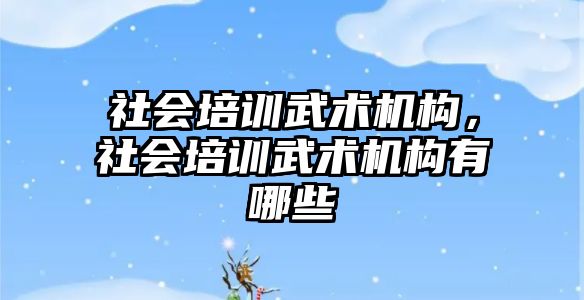 社會培訓武術機構，社會培訓武術機構有哪些