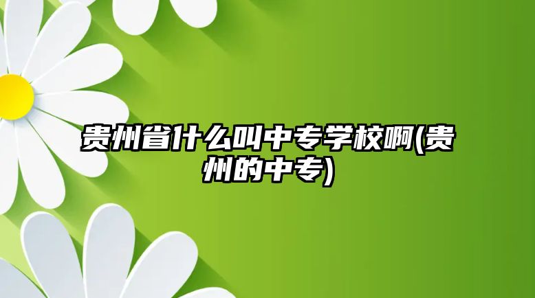 貴州省什么叫中專學校啊(貴州的中專)