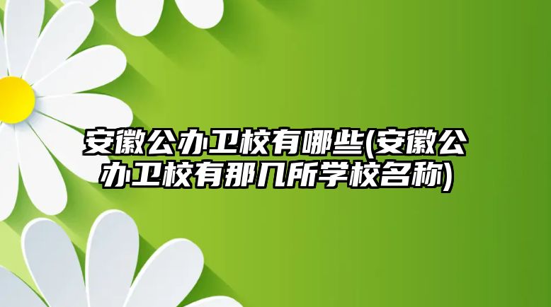 安徽公辦衛校有哪些(安徽公辦衛校有那幾所學校名稱)