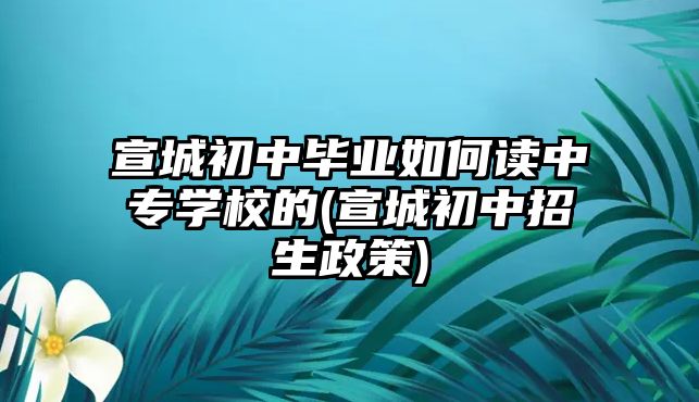 宣城初中畢業如何讀中專學校的(宣城初中招生政策)