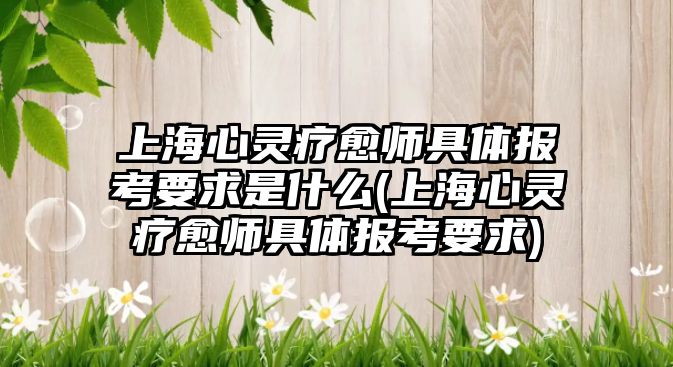 上海心靈療愈師具體報考要求是什么(上海心靈療愈師具體報考要求)