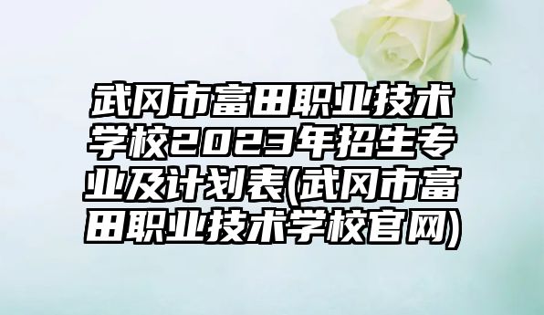 武岡市富田職業技術學校2023年招生專業及計劃表(武岡市富田職業技術學校官網)