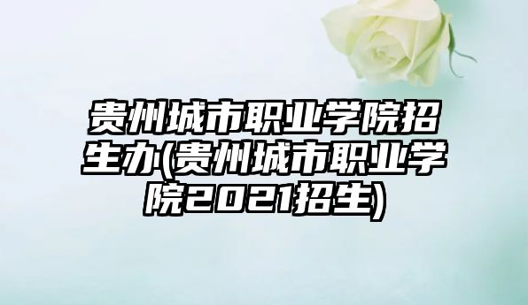 貴州城市職業學院招生辦(貴州城市職業學院2021招生)