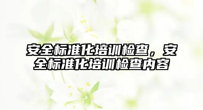 安全標準化培訓檢查，安全標準化培訓檢查內容