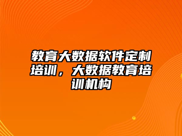 教育大數據軟件定制培訓，大數據教育培訓機構