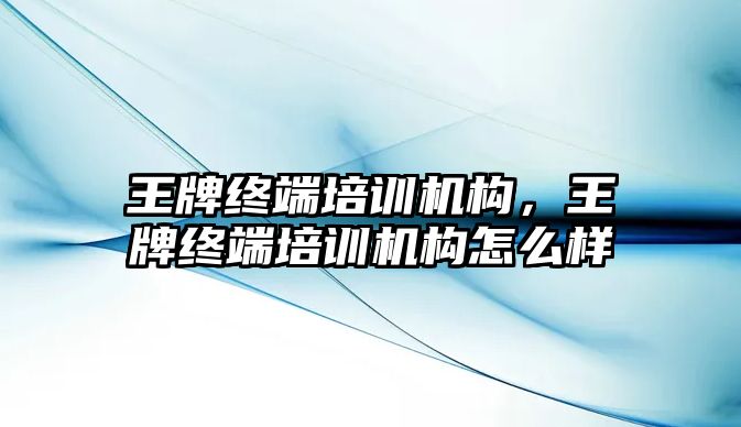 王牌終端培訓機構，王牌終端培訓機構怎么樣