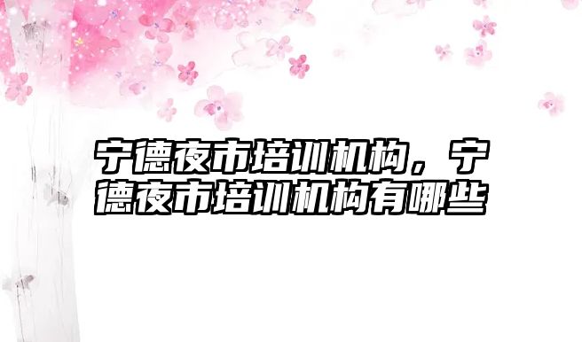 寧德夜市培訓機構，寧德夜市培訓機構有哪些