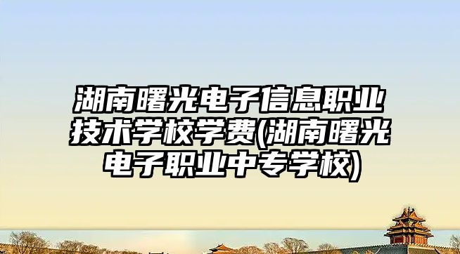 湖南曙光電子信息職業(yè)技術學校學費(湖南曙光電子職業(yè)中專學校)