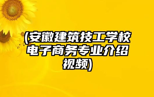 (安徽建筑技工學校電子商務專業介紹視頻)