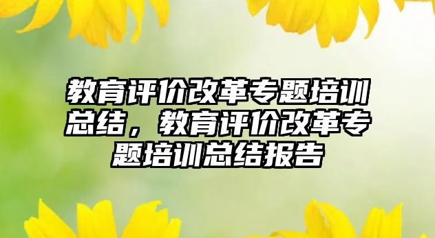 教育評價改革專題培訓總結，教育評價改革專題培訓總結報告