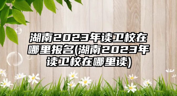 湖南2023年讀衛(wèi)校在哪里報名(湖南2023年讀衛(wèi)校在哪里讀)