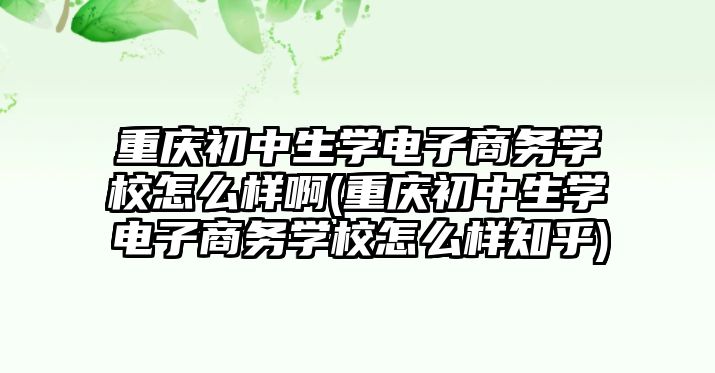 重慶初中生學電子商務學校怎么樣啊(重慶初中生學電子商務學校怎么樣知乎)