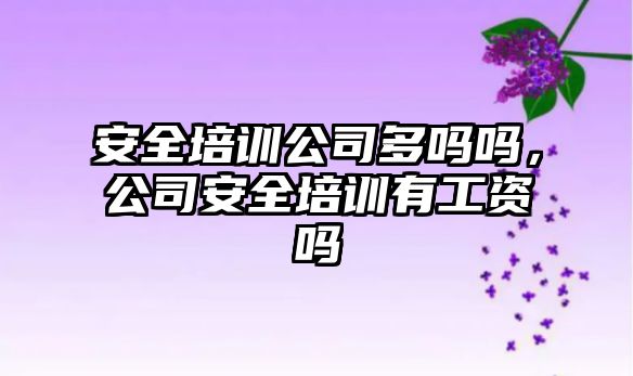 安全培訓公司多嗎嗎，公司安全培訓有工資嗎